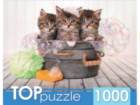 TOPpuzzle. Пазл 1000 элементов. Три голубоглазых котёнка