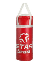 Боксерская груша "STAR TEAM" в сетке