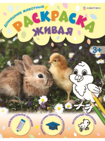 Раскраска А4 Домашние животные 8л, скрепка,