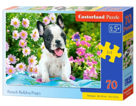 Puzzle-70 "Щенок французского бульдога"