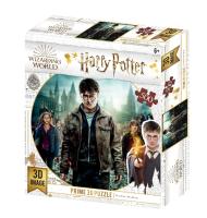 3D Puzzle-500 "Гарри, Гермиона и Рон", Harry Potter