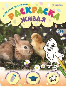 Раскраска А4 Домашние животные 8л, скрепка,