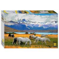 Мозаика "puzzle" 1000 "Лошади в национальном парке. Чили"
