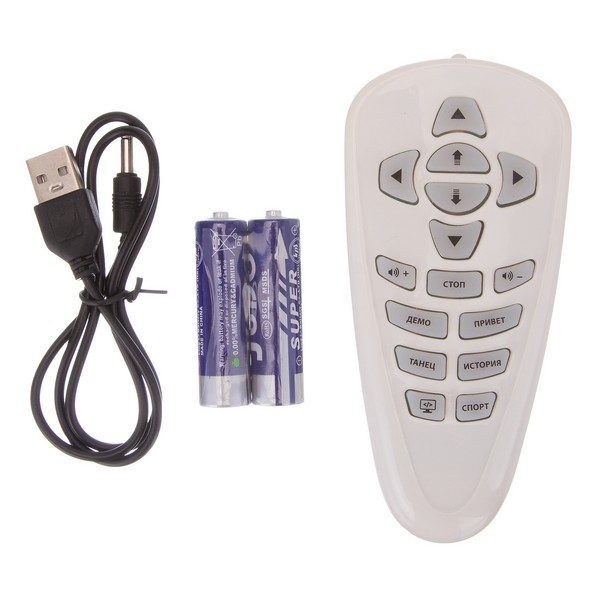 Робот "Beboy" на пульте радиоуправления Робот "Beboy" на пульте радиоуправления