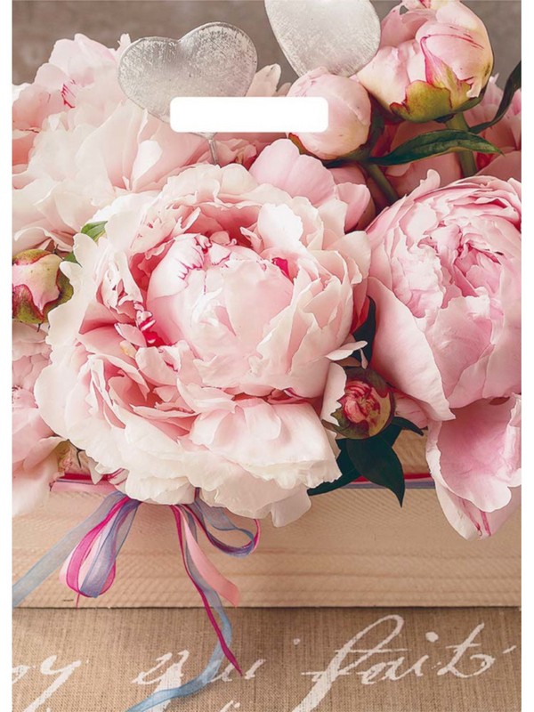 Пакет полиэтиленовый вырубной "Бенефис" (29х40 см)