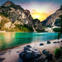 Холст с красками 15х15 см. Лисичка с ромашкой в пленке