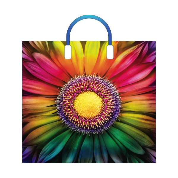 Пакет полиэтиленовый с пластиковой ручкой (10 шт в наборе) Радужный 38*34 см