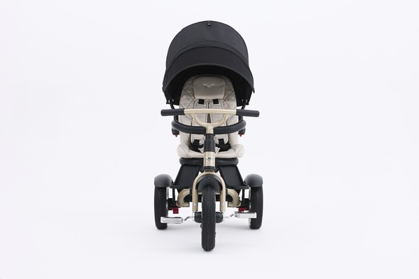 Велосипед трехколесный с ручкой управления Bentley