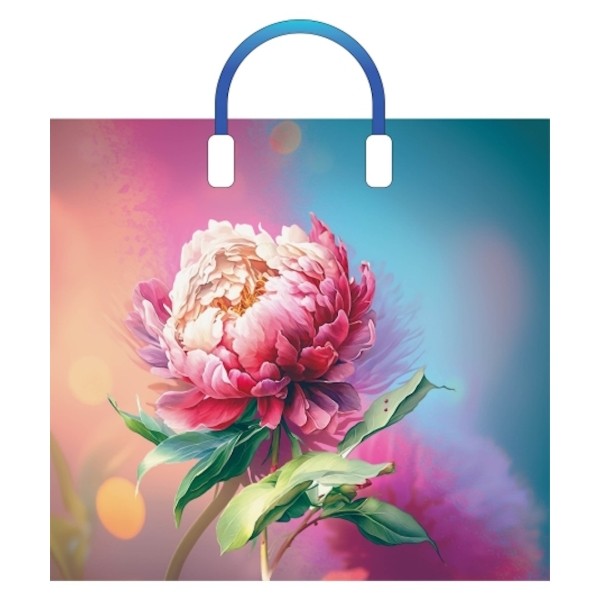 Пакет с пластиковыми ручками Сандра (10 шт в наборе) 38х34/90мкм, в пленке