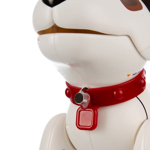 Робопес "Скай" "BEBOY" на пульте радиоуправления