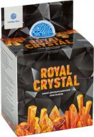 Научно-познавательный набор  для проведения опытов "Royal Crystal"