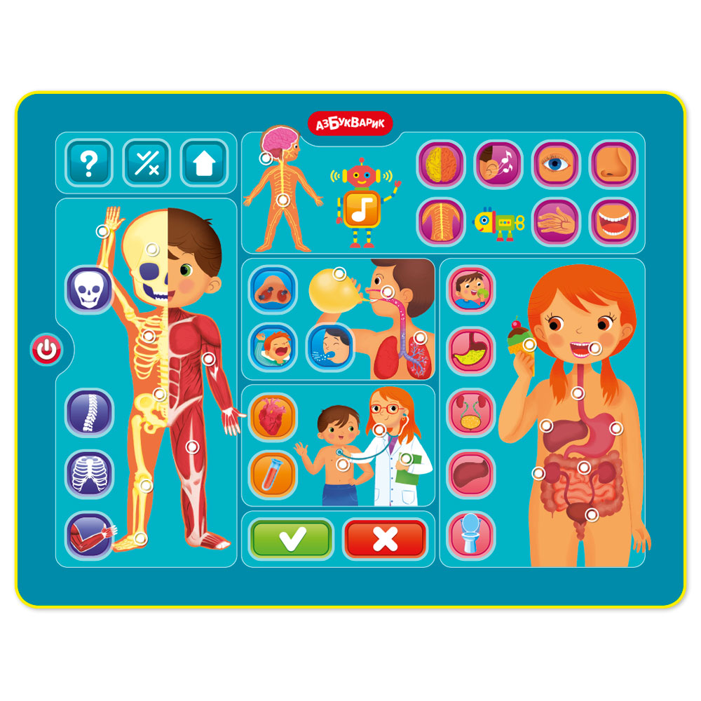 Планшетик "Тело человека" Планшетик "Тело человека"