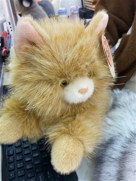 Кот рыжий, 30 см