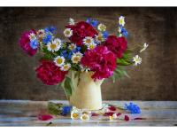 Холст с красками 30х40 см. по номерам (20цв.) Садовые цветы в чайничке