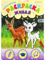 Раскраска А4 Милые малыши 8л, скрепка,