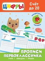 Прописи первоклассника. Счёт