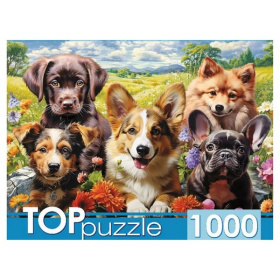TOPpuzzle. ПАЗЛЫ 1000 элементов. ВЕСЕЛОЕ СЕЛФИ ЩЕНКОВ