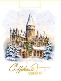 Dream Cards Пакет подароч.с мат.лам.и глит.  (12 шт в наборе) 18x23x10 см (M) Снежный замок,190г(соб