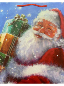 Dream cards Пакет подар.с мат.лам.и глит.  (12 шт в наборе) 18*23*10см(M), Дедушка Мороз и подарки,