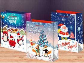 Пакет подарочный 18-23 лам.матовый микс (12 шт в наборе) НГ