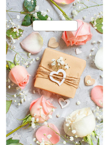 Пакет вырубной (100 шт в наборе) Подарочек 20*30/30мкм