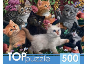 TOPpuzzle. Пазлы 500 элементов "Игривые котята"