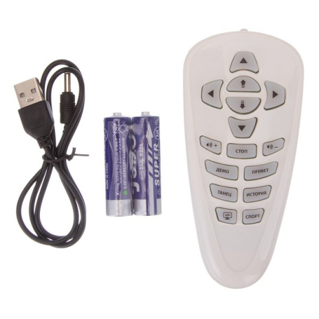 Робот "Beboy" на пульте радиоуправления