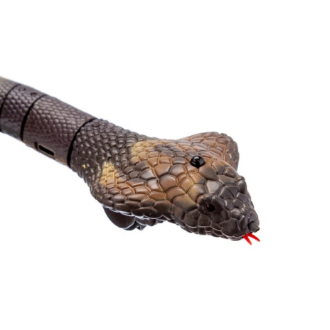 Кобра "Beboy" на пульте радиоуправления