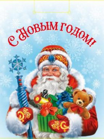 Пакет подарочный с глянц.лам. (12 шт в наборе) 18x23x10см(М) Дед Мороз с подарками,157г(собст.разр.) Пакет подарочный с глянц.лам. (12 шт в наборе) 18x23x10см(М) Дед Мороз с подарками,157г(собст.разр.)