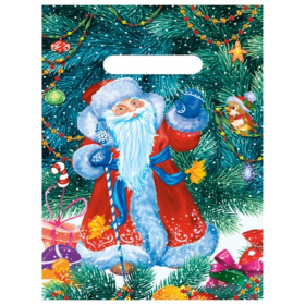 Пакет полиэтиленовый вырубной "Дед Мороз у елки" (100 шт в наборе) 20х30/30мкм