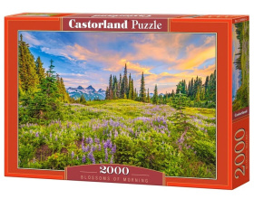Puzzle-2000 "Утренние цветы"