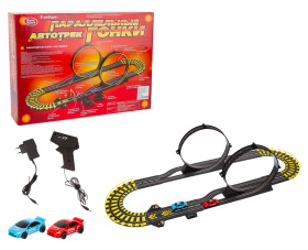 Автотрек 220 вольт