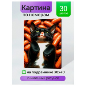 Холст с красками 30x40 см по номерам (в коробке) (30 цв.) Довольный кот в сосисках