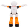 Робот "Beboy" на пульте радиоуправления