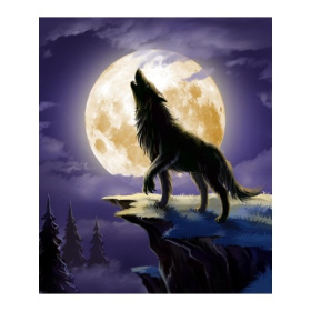 Алмаз мозаика (класс.) 17х22 см, с подр., с полным заполн. (13цв) Волк на скале