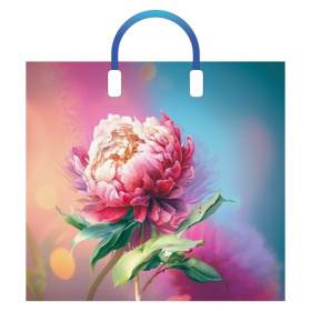 Пакет с пластиковыми ручками Сандра (10 шт в наборе) 38х34/90мкм, в пленке