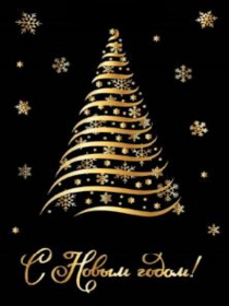 Dream cards Пакет подарочный с мат. лам. (12 шт в наборе) 14x20x6,5см(MS)Волшебный снегопад,190г(соб