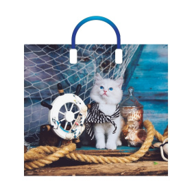 Пакет полиэтиленовый с пластиковой ручкой (10 шт в наборе) Матроскин 38*34 см