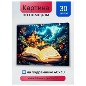 Холст с красками 30x40 см по номерам (в коробке) (30 цв.) Книга сказок