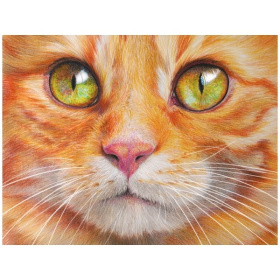 Алмаз мозаика (блест.) 17х22 см, с подр., с полным заполн. (20цв) Кошачий взгляд