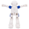 Робот "Beboy" на пульте радиоуправления