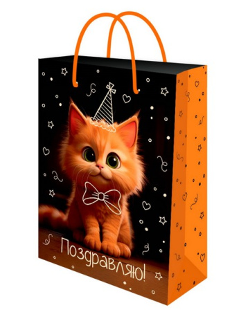Optima Пакет подарочный с глянц.лам. 22*31*10 см (ML) Котик в колпаке, 128г (соб.разр)