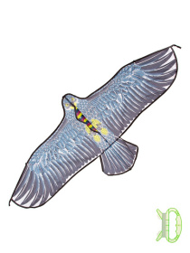 Воздушный змей