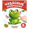 Чудесные превращения.Превращения в природе Чудесные превращения.Превращения в природе