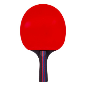 Ракетки для пинг-понга