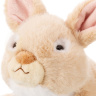 Зайчик светло-бежевый, 25 см