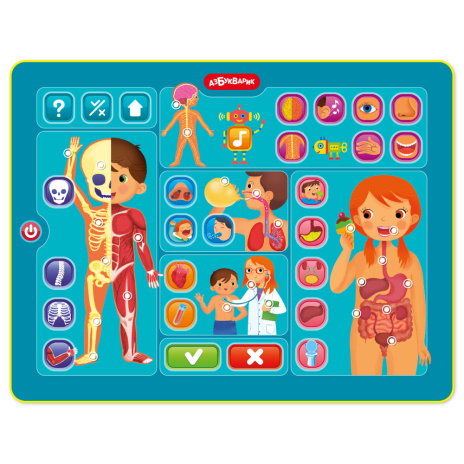Планшетик "Тело человека" Планшетик "Тело человека"