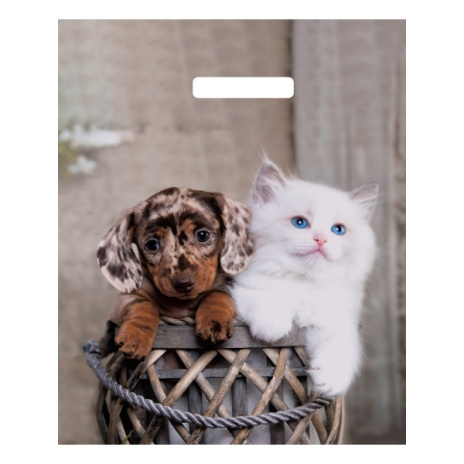 Пакет вырубной (50 шт в наборе) Пушистая парочка 31х40см