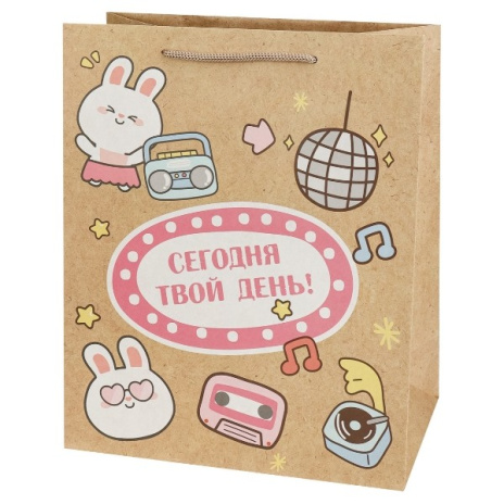 Пакет подарочный из крафт-бумаги (12 шт в наборе) 26,4x32,7x13,6 см (craft L) Милота