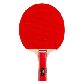 Ракетки для пинг-понга с шариками